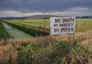 No Water, No Barley, No Beer - Klamath 2001